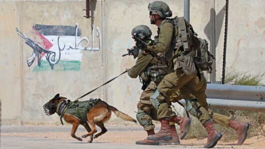 গাজা থেকে আটক করা ফিলিস্তিনি বন্দিদের ওপর যৌন নির্যাতন ও নিপীড়ন