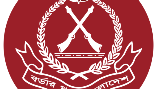 বন্যাকবলিত ১১ জেলায় বিজিবি মোতায়েন