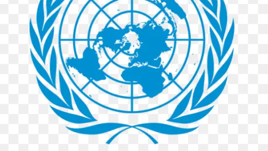 ইসরায়েলি বাহিনীকে ‘পৃথিবীর নিকৃষ্টতম’ বললেন জাতিসংঘের বিশেষ দূত