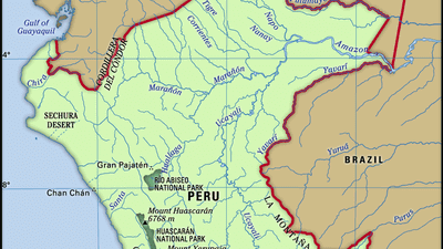 ১০ দিনেও শেষ হয়নি ভোট গণনা, পেরুর নির্বাচন পরিচালনা প্রধানের পদত্যাগ