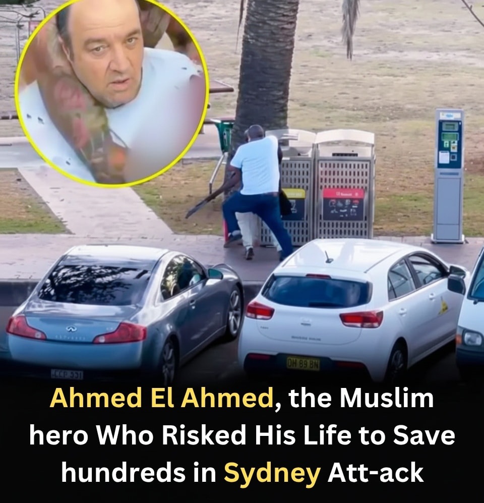 A man who has been lauded a hero after tackling a shooter during the Bondi Beach terror attack