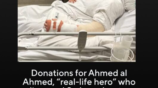 Fruit shop owner hailed a hero after tackling gunman during Australia attack , New South Wales Premier Chris Minns hailed al Ahmed a “genuine hero.