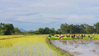 বৃষ্টি কিংবা বজ্রবৃষ্টির সম্ভাবনার কথাও