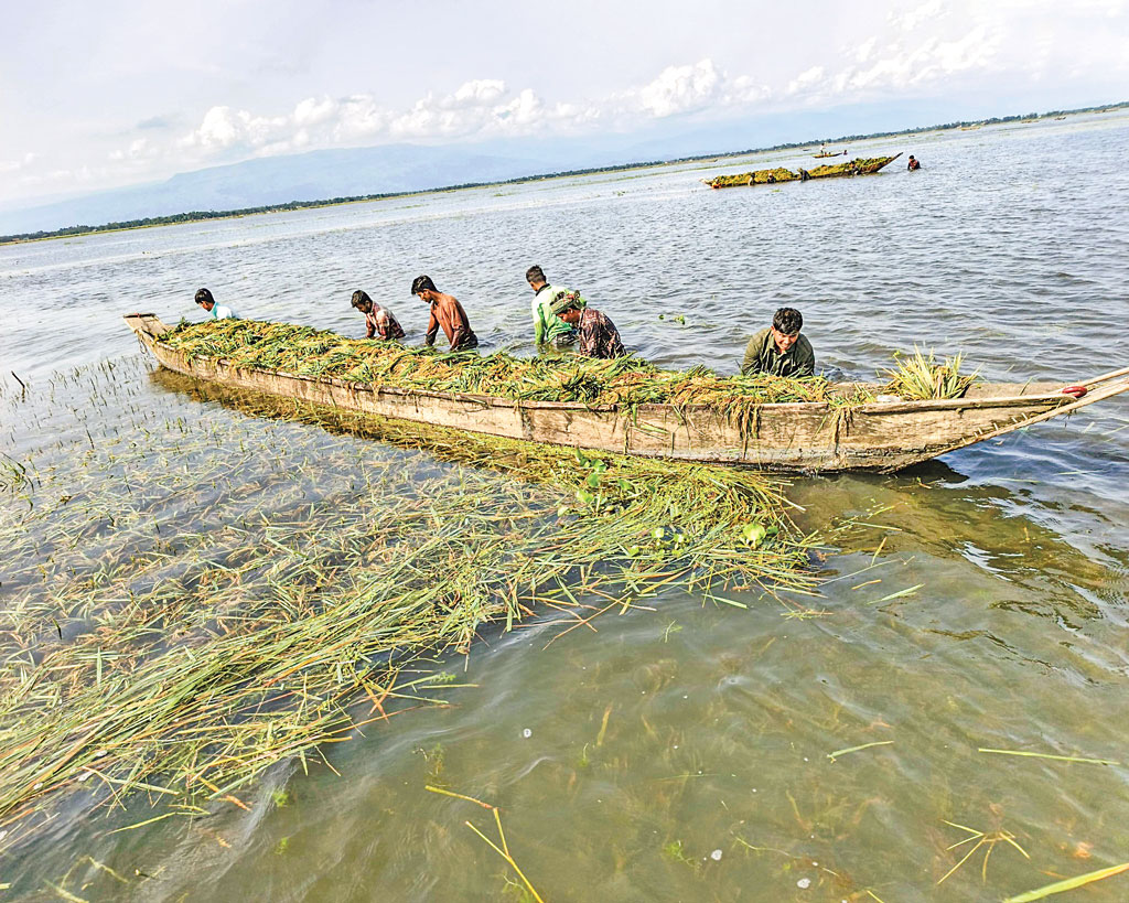 পানিতে তলিয়ে গেছে হাওরের একমাত্র ফসল বোরো ধান
