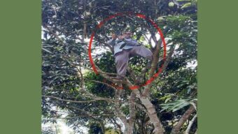 নির্দেশনা অনুযায়ী অনলাইনে হাজিরা দিতে জীবনের ঝুঁকি নিয়ে পাহাড়ের চূড়ায় শিক্ষক