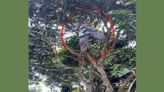 নির্দেশনা অনুযায়ী অনলাইনে হাজিরা দিতে জীবনের ঝুঁকি নিয়ে পাহাড়ের চূড়ায় শিক্ষক