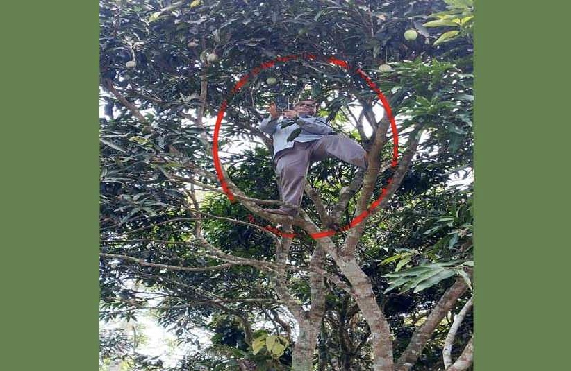 নির্দেশনা অনুযায়ী অনলাইনে হাজিরা দিতে জীবনের ঝুঁকি নিয়ে পাহাড়ের চূড়ায় শিক্ষক