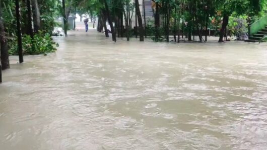 বন্যায় ক্ষতিগ্রস্ত  কৃষকেরা: ৬ জেলায় ৪০ হাজার হেক্টর জমির ফসলের ক্ষতি