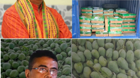 পশ্চিমবঙ্গের মুখ্যমন্ত্রী শুভেন্দু অধিকারী, ত্রিপুরার মুখ্যমন্ত্রী মানিক সাহাকে আম উপহার পাঠালো বাংলাদেশ